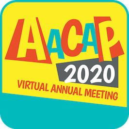 2020 Virtual Meeting